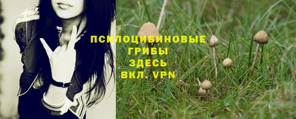таблы Костерёво