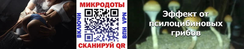 Галлюциногенные грибы GOLDEN TEACHER  MEGA зеркало  Красноперекопск 