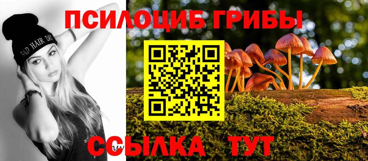 Псилоцибиновые грибы Cubensis Красноперекопск